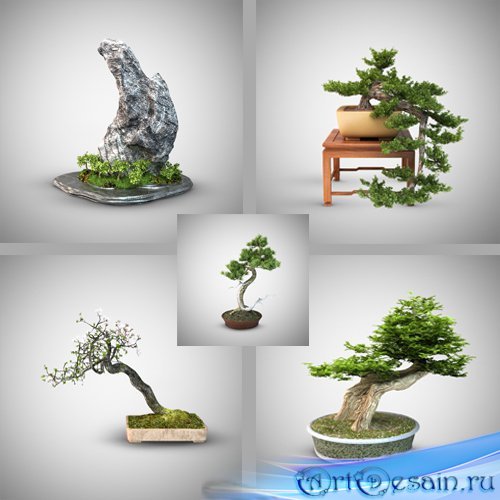 3D Models Bonsai Trees