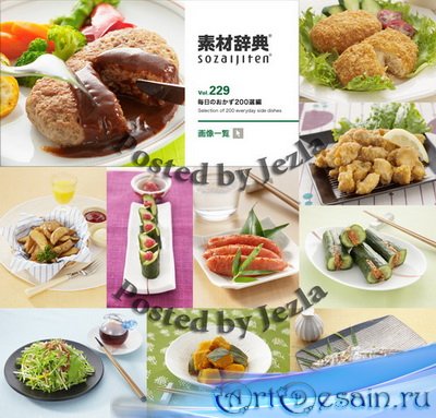 Datacraft Sozaijiten Vol.229 - Selection of 200 Everyday Side Dishes