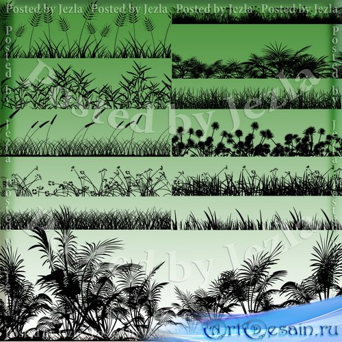PNG Клипарт - Бордюр - трава, растения