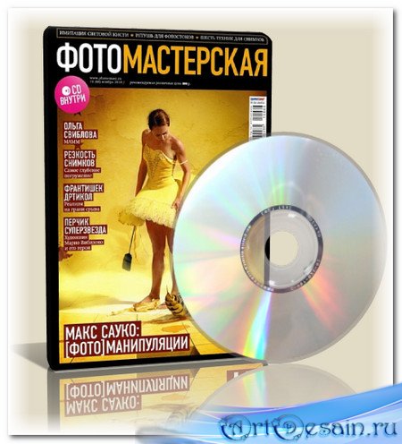   11 () 2010 + CD
