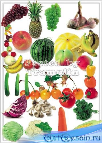 Клипарт – Фрукты и овощи на белом фоне