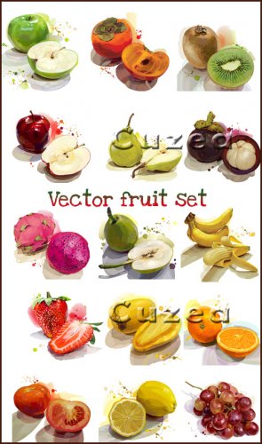   / Vector fruit set