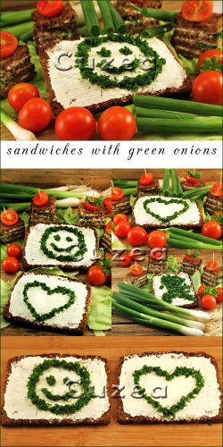 Сэндвич с зелёным луком, черным хлебом и спелыми томатами - растровый клипарт