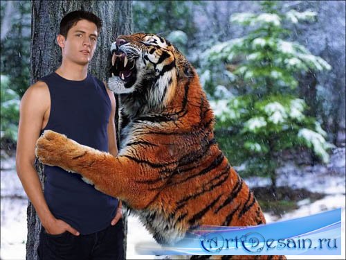 Рамка для фотошопа - в обнимку с тигром