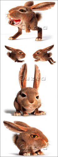      | Creative rabbit on a white background - S ...
