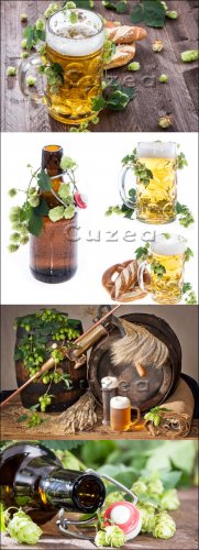 ,       | Hop, glasses and beer bott ...