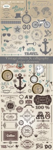Vintage objects and calligraphy design elements /       - vector