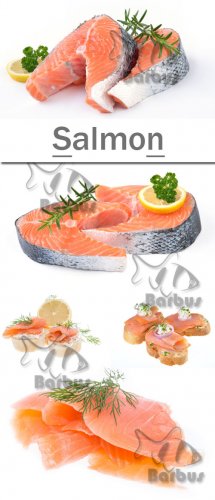 Salmon /  - photo stock