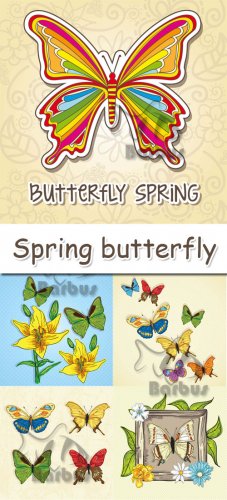Spring butterfly /   - vector stock