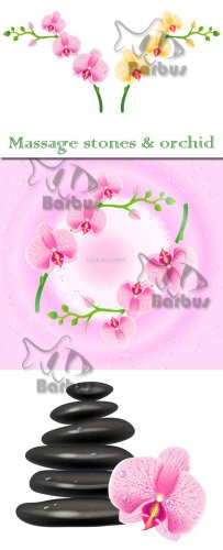 Massage stones and orchid /    
