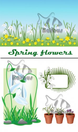 Spring flowers /  