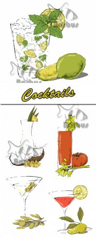 Cocktails /  - Vector stock
