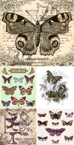 Vintage butterflies /  