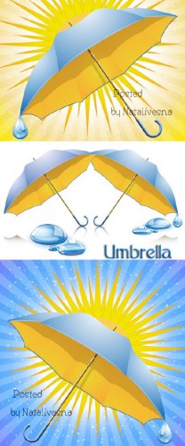   / Umbrella in Vector 