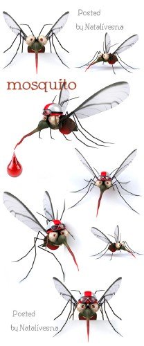 3D     / 3D Mosquito - Stock photo