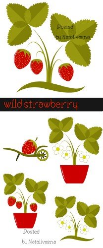 Земляника в Векторе / Vector - Wild strawberry
