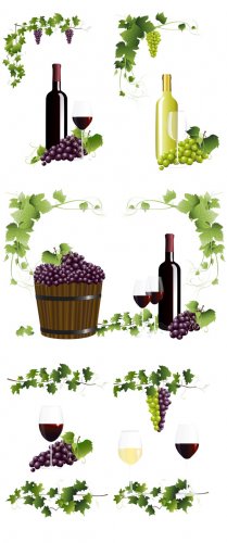 / Wine - Vector photo