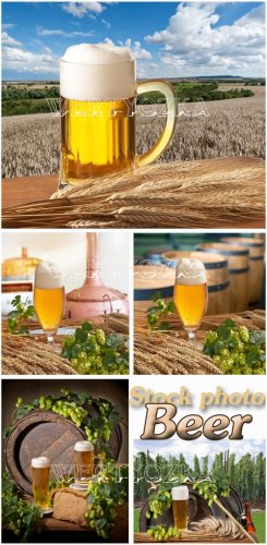 ,   ,  / Beer, a glass of beer, hops - Raster clipart