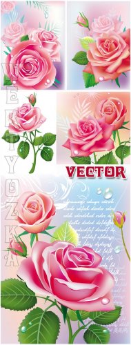    / Beautiful pink roses - vector clipart