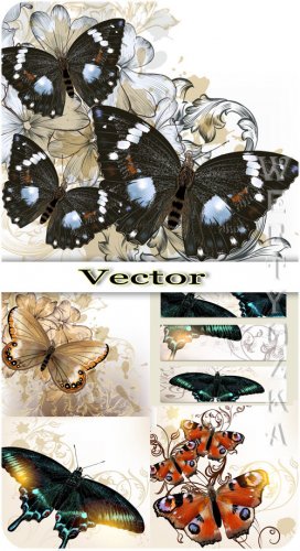      / Butterflies and backgrounds with flowers - vecto ...