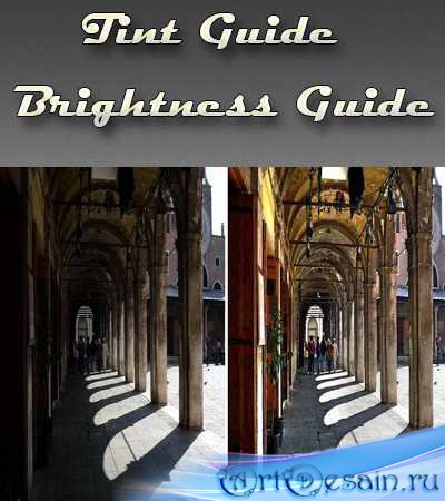 Tint Guide Brightness Guide 1.1.1