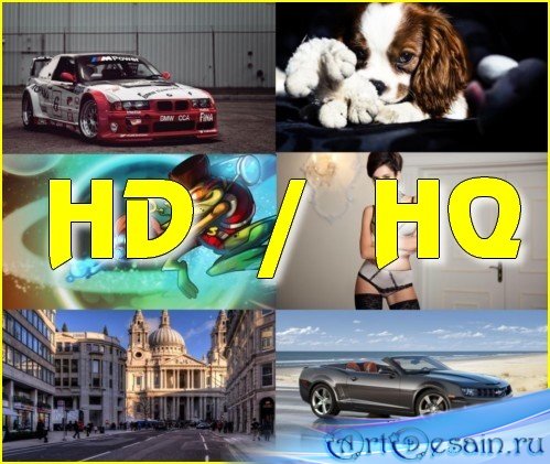  HD / HQ    229