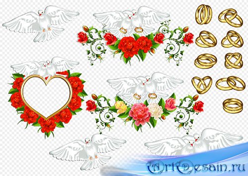 Клипарт- Свадебные голуби с обручальными кольцами рамка из роз в виде сердца на прозрачном фоне