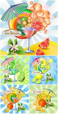   ,    / Cocktails in the vector of citrus juic ...