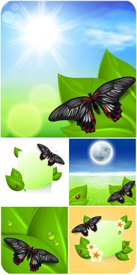      / Natural vector backgrounds with butterflies