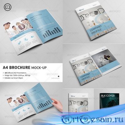 PSD - Brochure - Catalog Mock-Up - 7672767