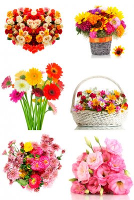 Красивые букеты из цветов