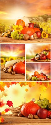  ,   / Autumn background, fall harvest - Stock phot ...