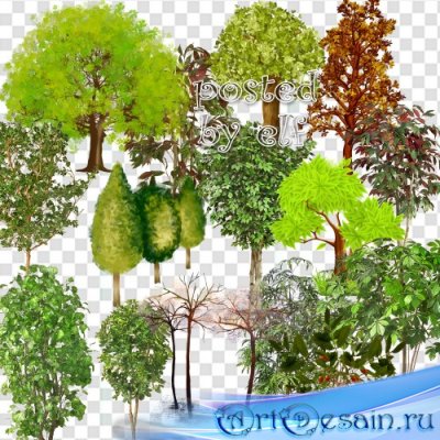 Клипарт - Разные деревья на прозрачном фоне