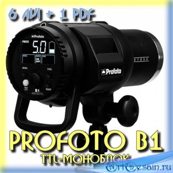 ProFoto B1 TTL-   (2015)