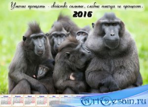  На 2016 год календарь - Понять и простить 