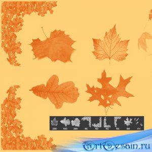 Набор кистей для Фотошоп - Осенние листья