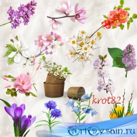 Цветочный клипарт PNG на прозрачном фоне  – Весенние цветы и распустившиеся ...