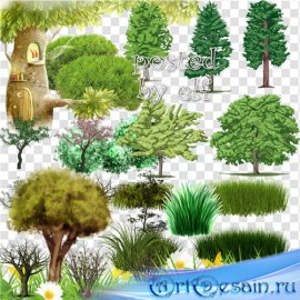  Клипарт в Png – Зелень, деревья и кустарники