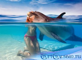  Шаблон psd - Поплавать с дельфином 