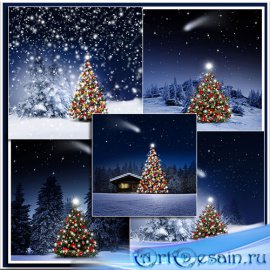       - Christmas fir tree in the night forest