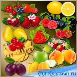 Клипарт - Сочные ягоды и нежные фрукты