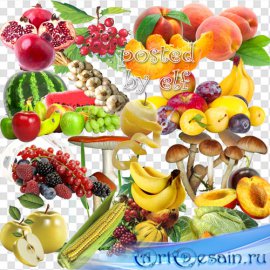 Ягоды, фрукты, овощи, грибы – PNG клипарт