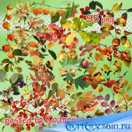 Png клипарт - Осенние листья, ветки, ягоды