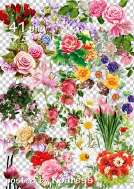 Клипарт png для дизайна - Цветы, цветочные композиции, уголки