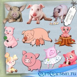Клипарт - Поросята, поросятки, свинки и свиньи