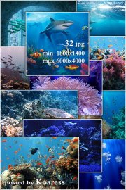 Морские фоны jpg для дизайна - Подводный мир