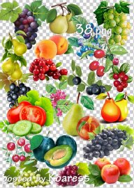 Овощи, фрукты, ягоды в png - Осенний урожай