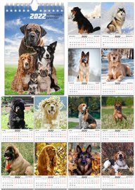 Настенный календарь на 2022 год - Породы собак