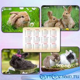 Карманный календарь на 2023 год - Год кролика